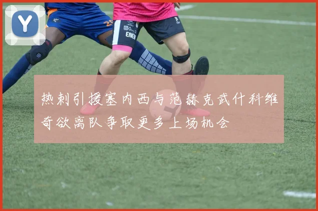 热刺引援塞内西与范赫克武什科维奇欲离队争取更多上场机会