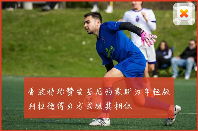 香波特称赞安芬尼西蒙斯为年轻版利拉德得分方式极其相似